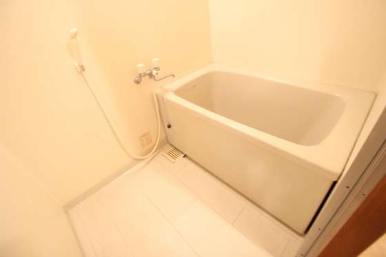 ルミエール伴丈木