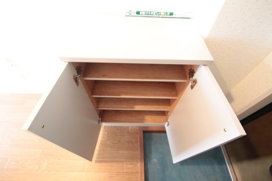 リマーカーブル己斐