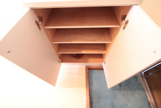 リマーカーブル己斐