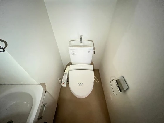 リーベングランツ平和大通り