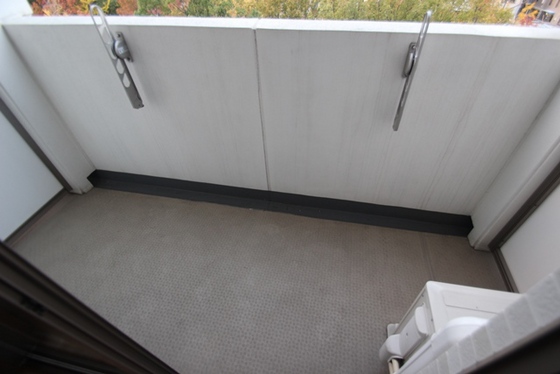 リーベングランツ平和大通り