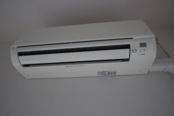 リーベングランツ平和大通り