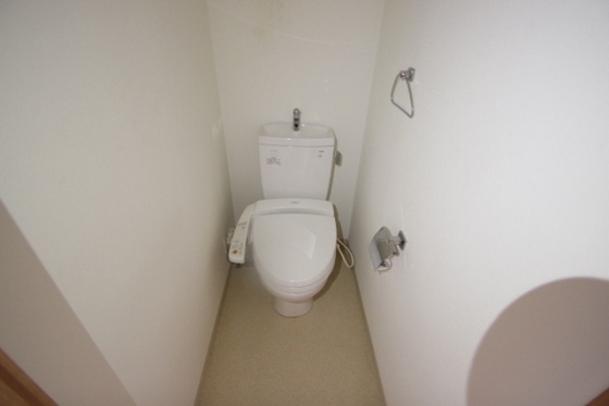 リーベングランツ平和大通り