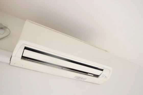 リーベングランツ平和大通り