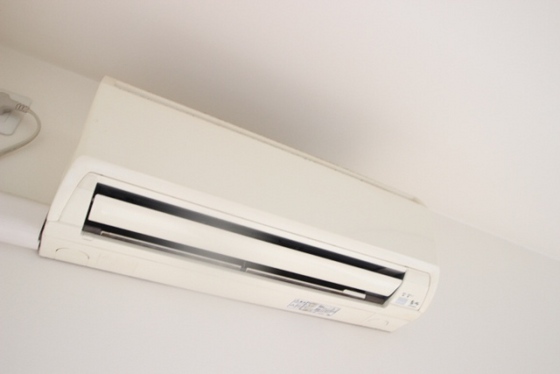 リーベングランツ平和大通り