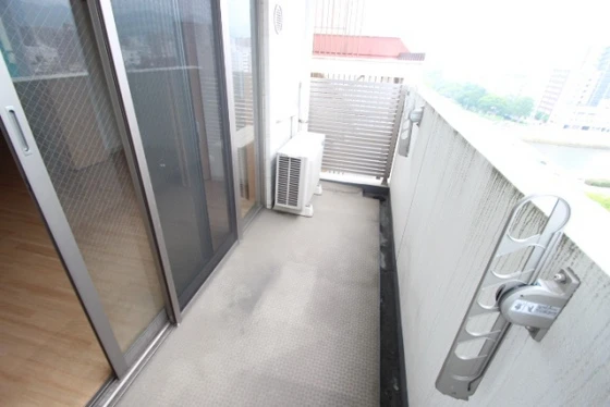 リーベングランツ平和大通り