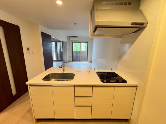 ディアメゾン新白島駅