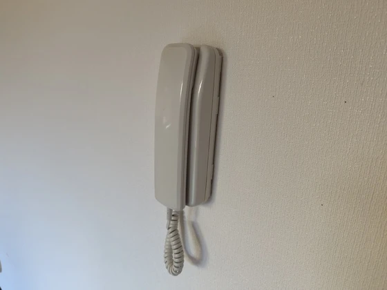 エクセラン水口