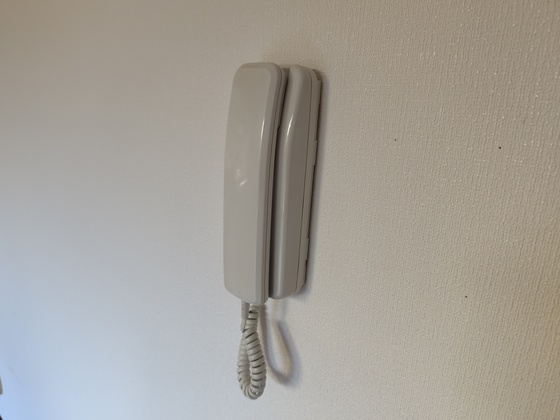 エクセラン水口