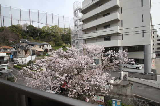 グラバーヒル尾長東