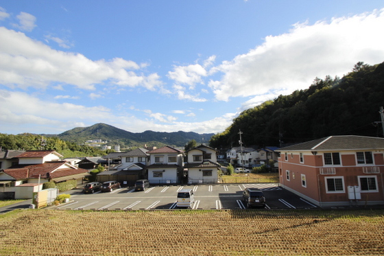 レオネクストアトム