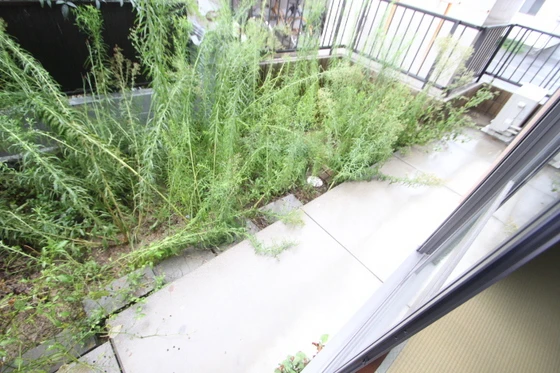 イーストリバーパラリア 弐番館