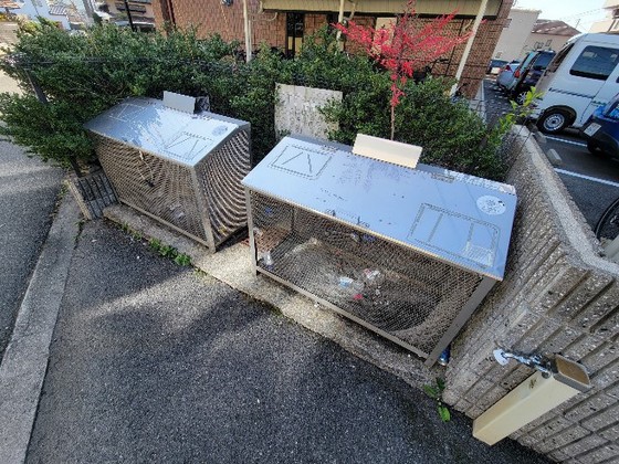 Seis.N(セイス.エヌ)