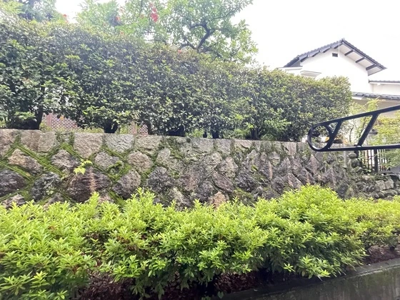 レオパレスシナジーⅡ