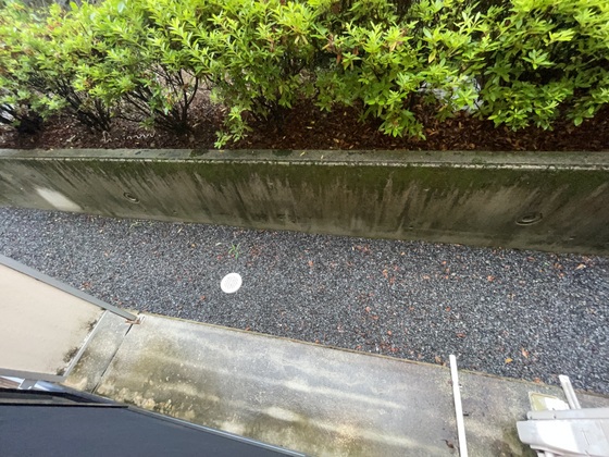 レオパレスシナジーⅡ