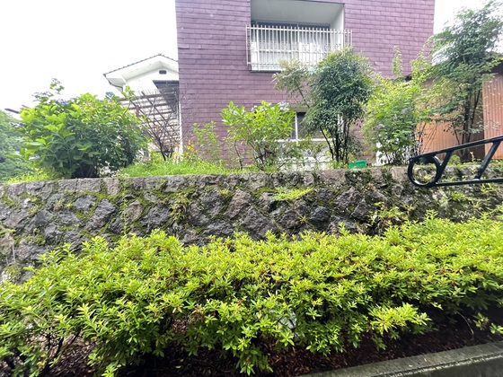 レオパレスシナジーⅡ