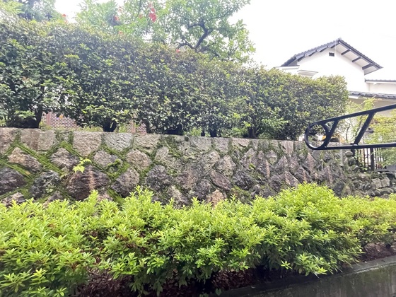 レオパレスシナジーⅡ