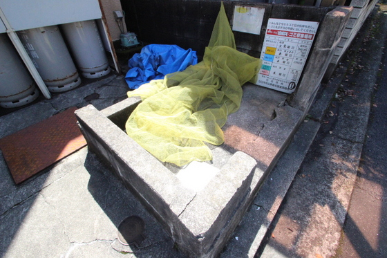 メゾンイノウエ