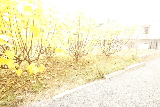 ニホコーポラスⅢ