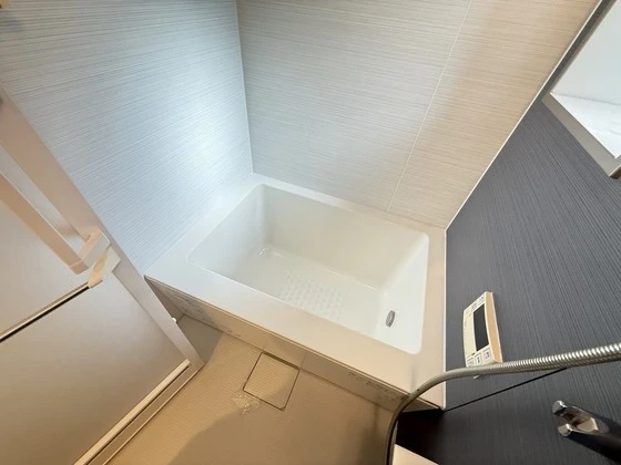 アガトンツインズβ