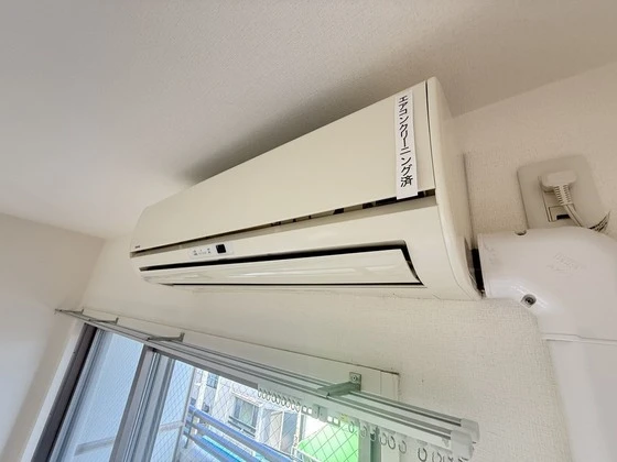 アガトンツインズβ