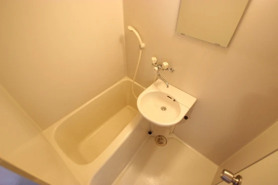 ヴィベーレフォルテ