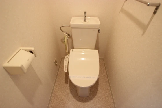 ヴィベーレフォルテ