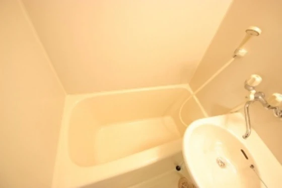 ヴィベーレフォルテ