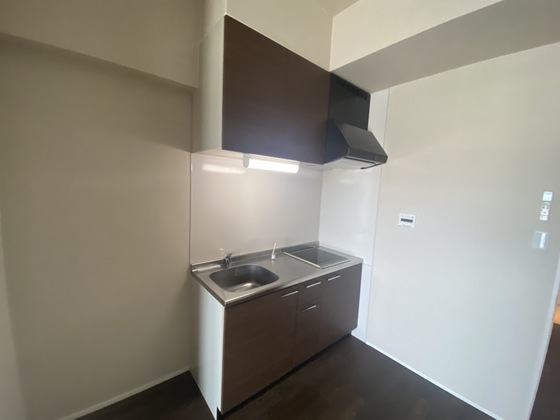 Palazzo Hashimoto Quinto