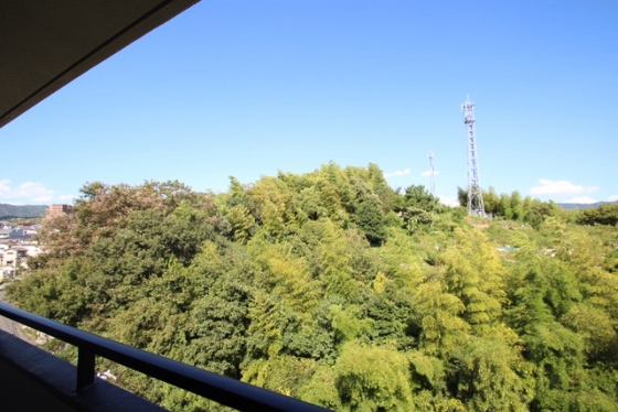 ロイヤルビュー安芸