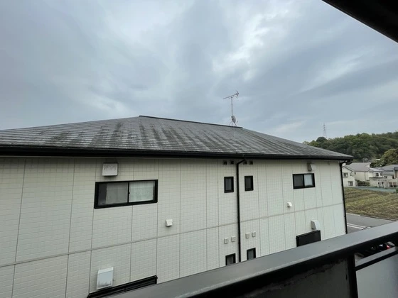 レヴールK Ⅰ・Ⅱ Ⅰ