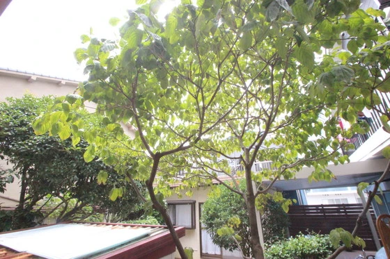 エステート中広