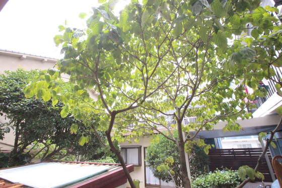 エステート中広