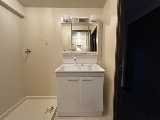 エクスアーバン己斐