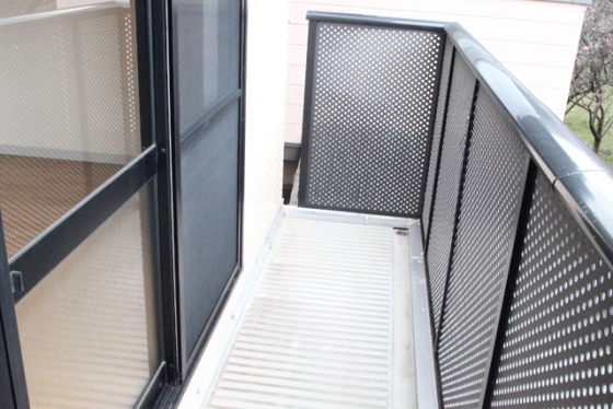 ディアス椎の木