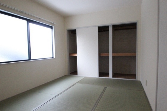 ディアス椎の木