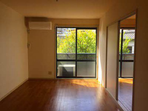 ディアス椎の木