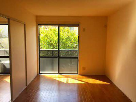 ディアス椎の木