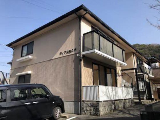 ディアス椎の木