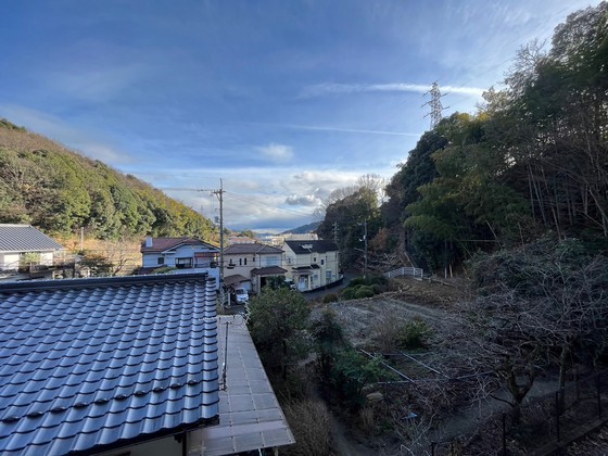 プリマヴェーラ・f