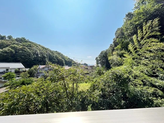 プリマヴェーラ・f