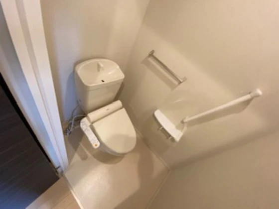 Cent-Livie(セントリビエ)Ⅱ