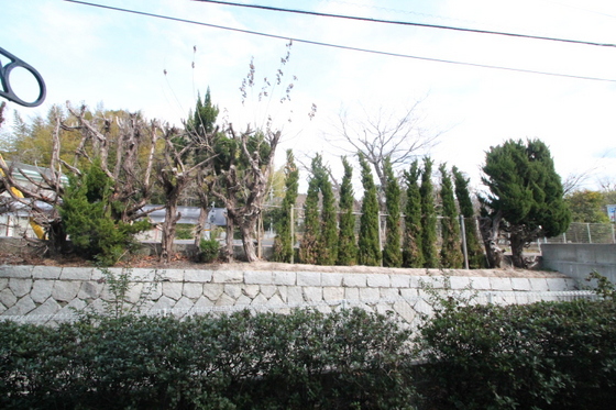 レオパレスサガタ