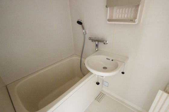 サウザンドサニー