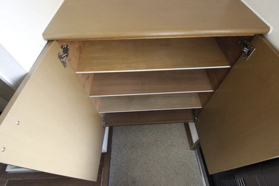 サウザンドサニー