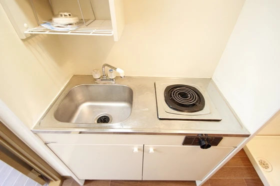 サウザンドサニー