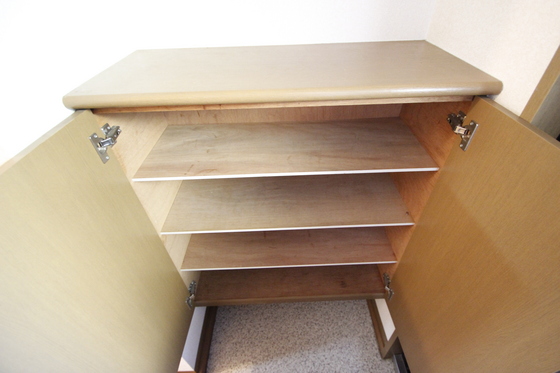 サウザンドサニー