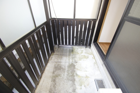 サウザンドサニー