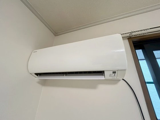 サウザンドサニー