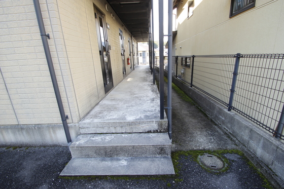 サウザンドサニー